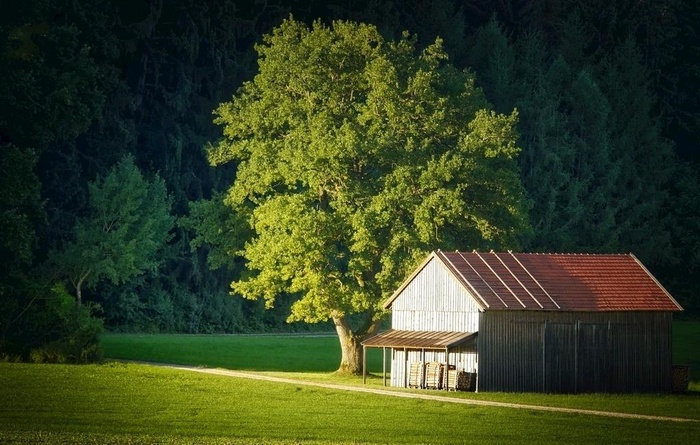 小屋旁的景色图片