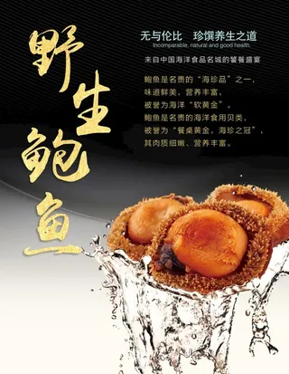 野生鲍鱼美食海报图片