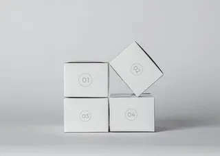 样机 提案 标志 VI 包装盒图片