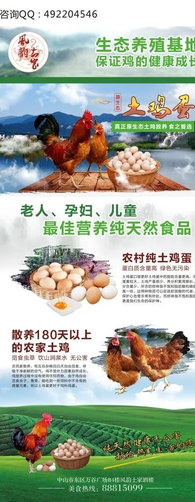 土鸡X展架图片cdr矢量模版下载