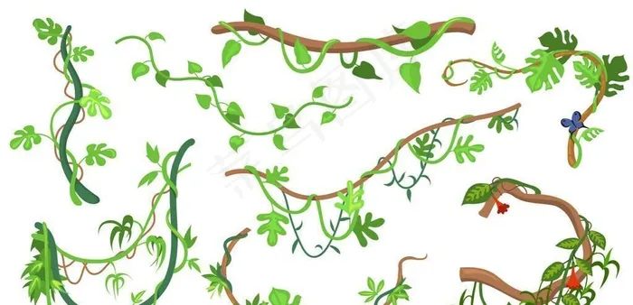 藤蔓植物图片ai矢量模版下载