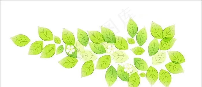 叶子图片cdr矢量模版下载