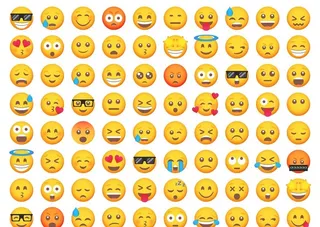 表情菜鸟图库片