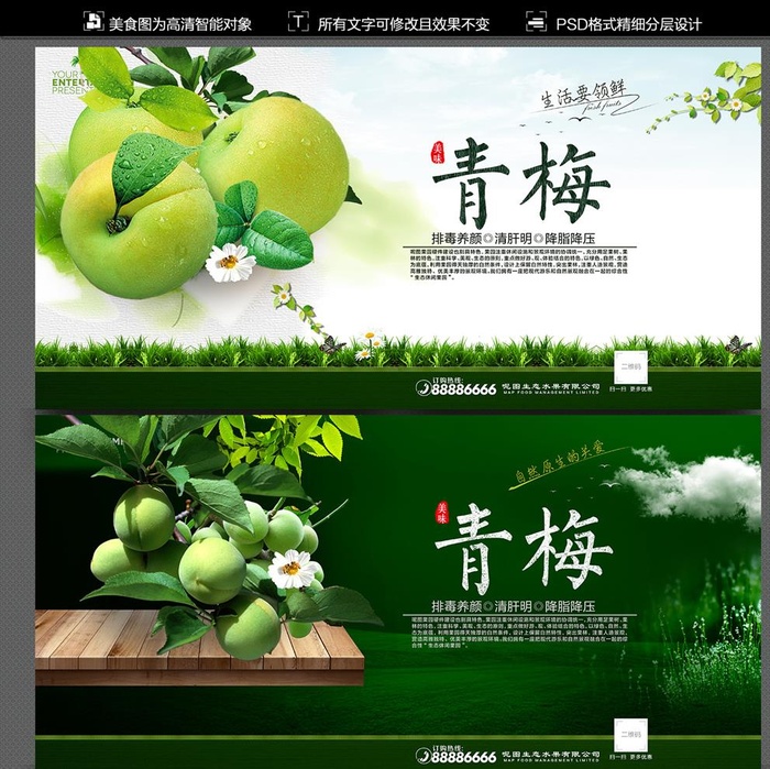 青梅图片