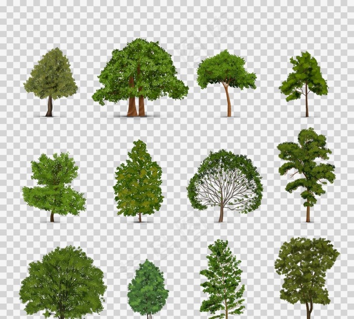 树木绿植AI矢量文件图片ai矢量模版下载