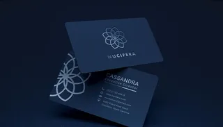 高档名片样机图片