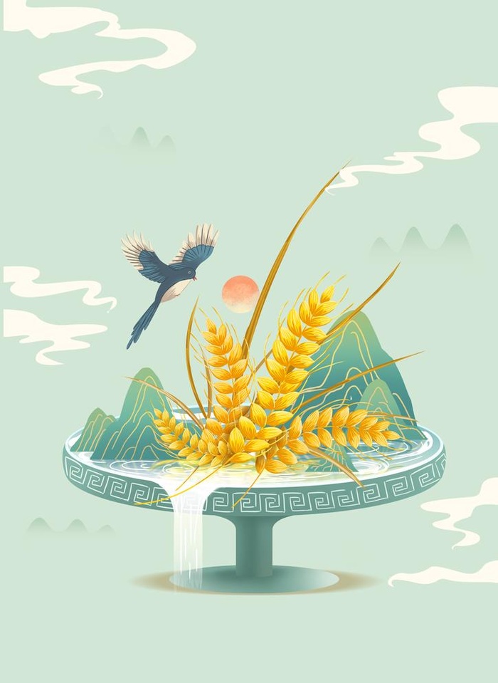 芒种素材图片(3508x4961)psd模版下载