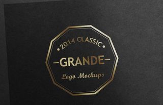 烫金logo样机图片