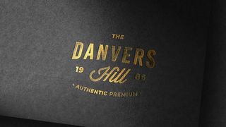 金色logo样机图片