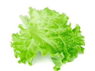 生菜图片
