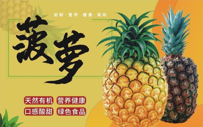 菠萝图片cdr矢量模版下载