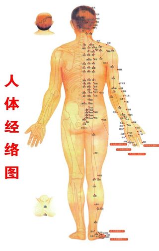 人体经络全图,中医,人体医学,人体图