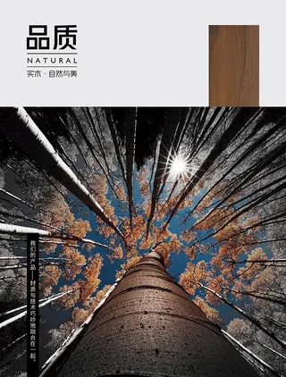 高端实木地板海报图片