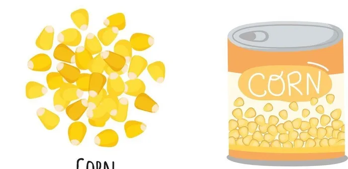 玉米罐头图片ai矢量模版下载