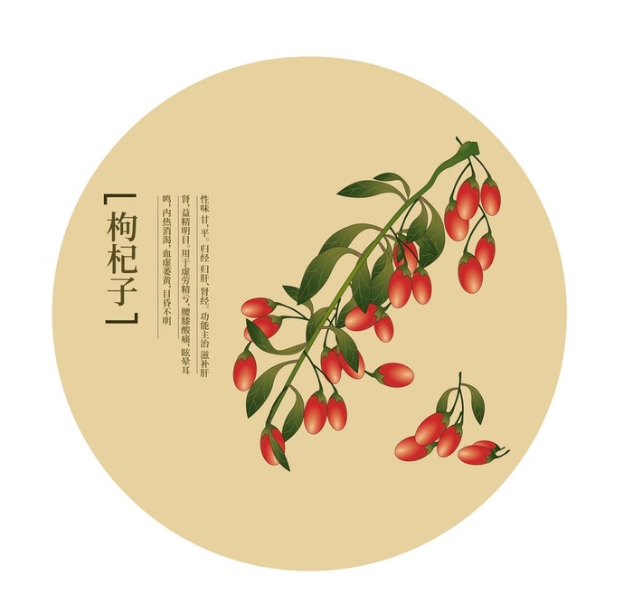 中药草本图片