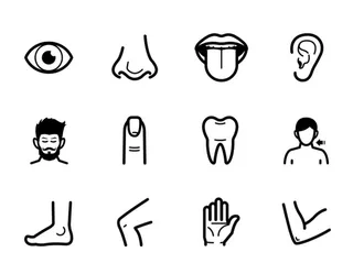 人体图标,人图标,手掌,胳膊,大腿,脚,