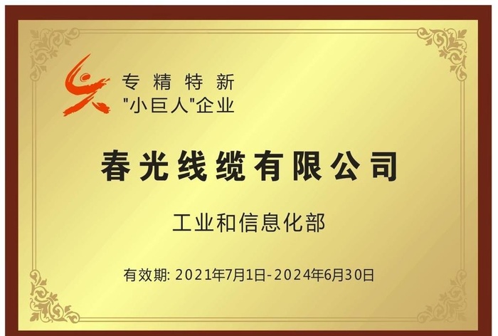 国家级专精特新小巨人企业图片