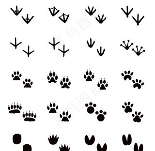 脚印图片