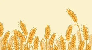 小麦矢量图图片