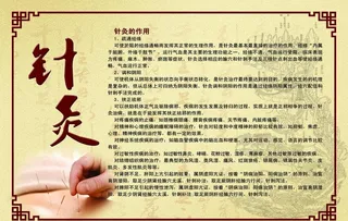 针灸展板图片