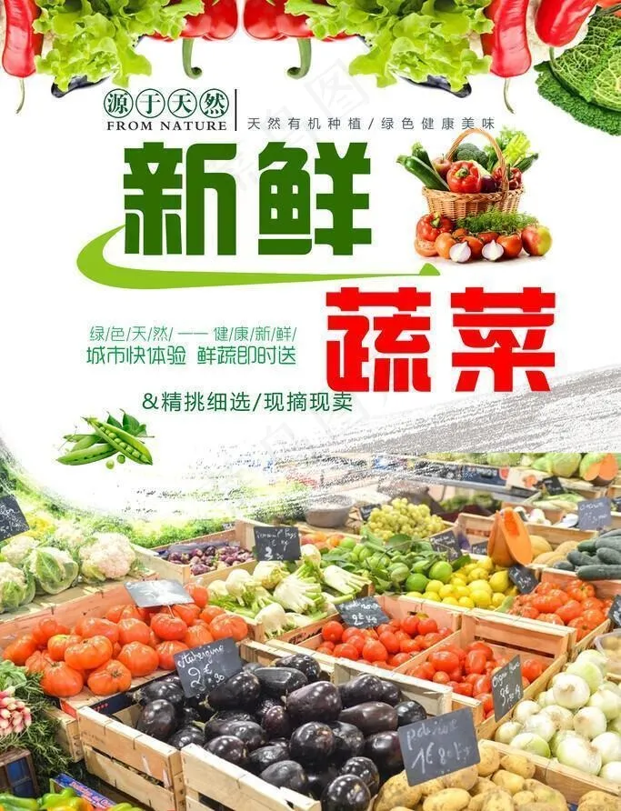 蔬菜海报图片(2362x3543)psd模版下载