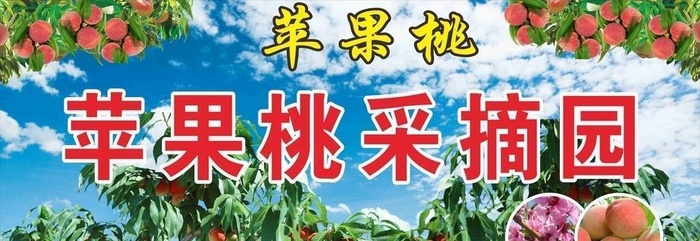 桃图片