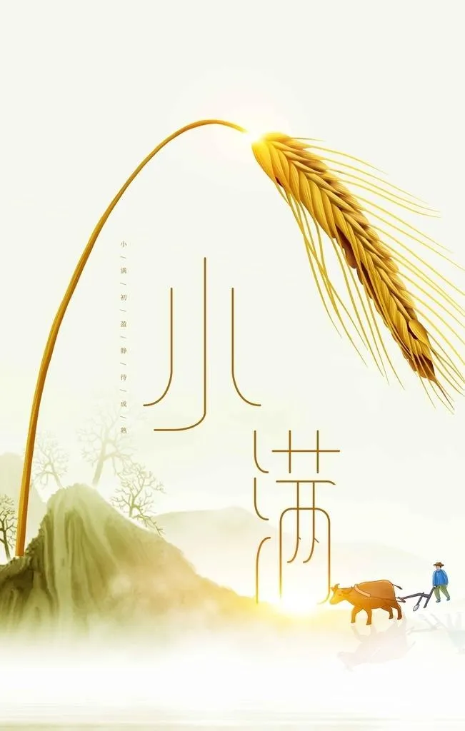 小满图片(3543x5315)psd模版下载