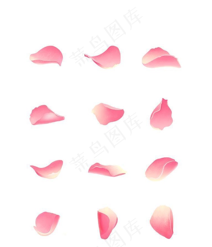 粉色玫瑰花朵花瓣矢量元素素材图片