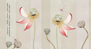 荷花 莲蓬 蜻蜓 背景墙图片