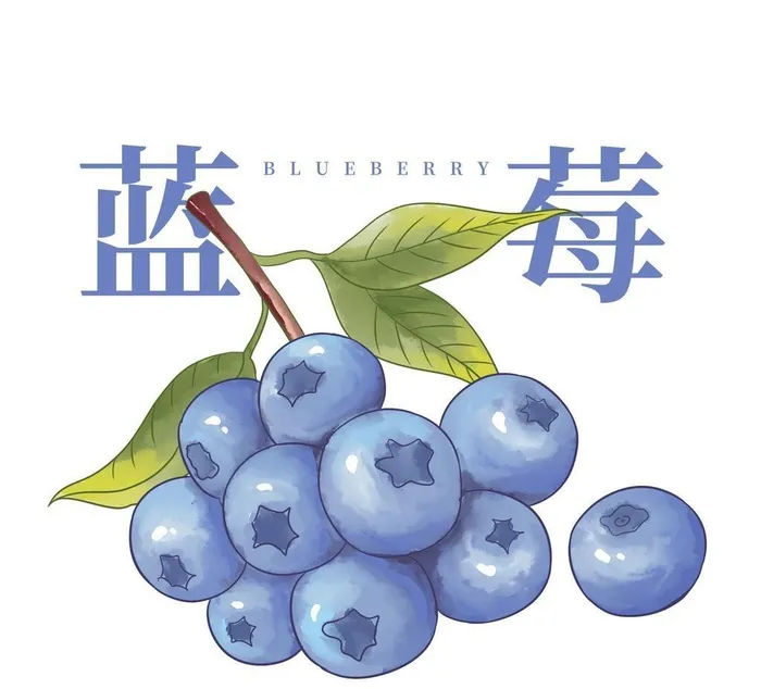 手绘水彩蓝莓插画图片(2000x2000)psd模版下载
