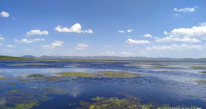 甘南美景 尕海图片