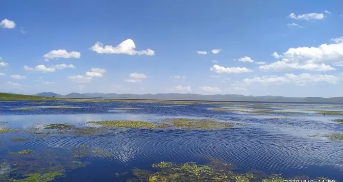 甘南美景 尕海图片