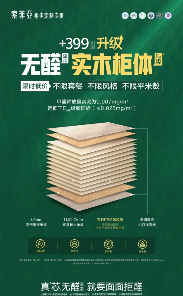 索菲亚无醛实木柜体画架海报图片