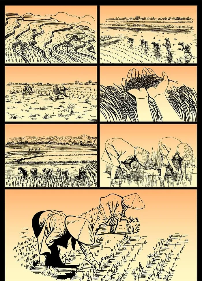 矢量手绘水稻农耕系列图片