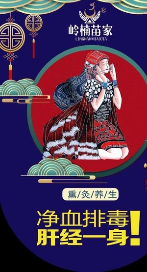 岭南苗家海报 图片