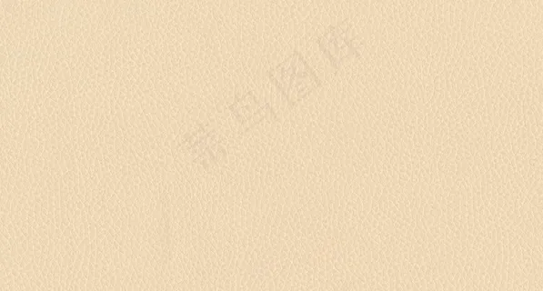真皮纹理 米色图片