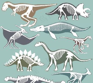 卡通恐龙平铺图图片