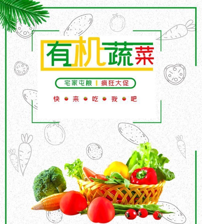 有机蔬菜图片(750x950)psd模版下载