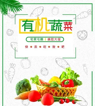 有机蔬菜图片