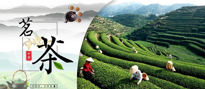 茗茶图片(1920x900)psd模版下载