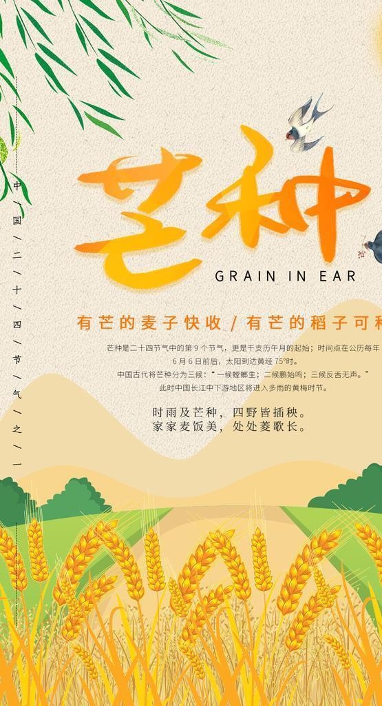 芒种图片(1772x2657)psd模版下载