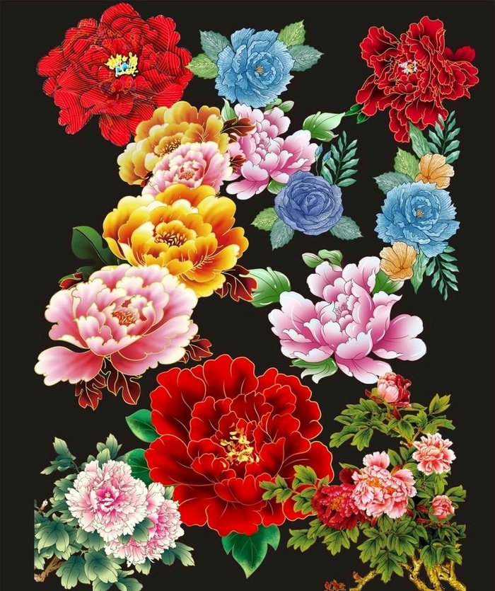 牡丹花图片cdr矢量模版下载