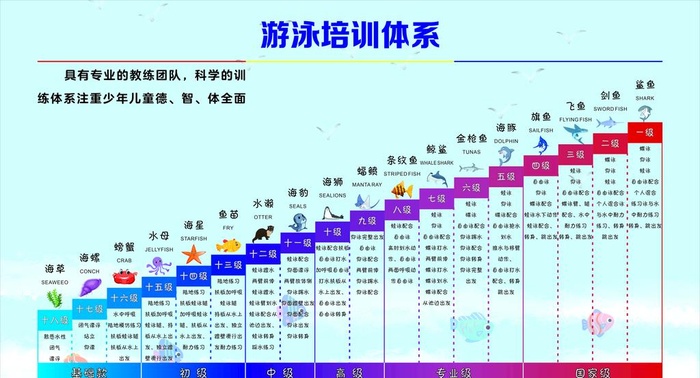 游泳运动体系图片cdr矢量模版下载