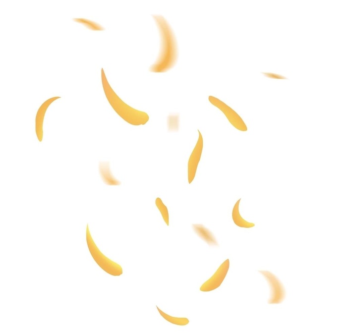 菊花花瓣图片(2000x2000)psd模版下载