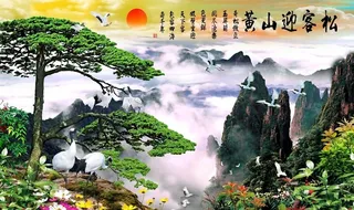 黄山迎客松图片