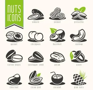 时尚坚果干果矢量图标图片