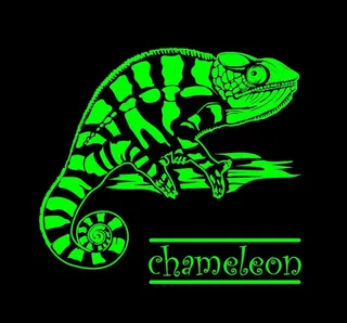 矢量动物头像图片