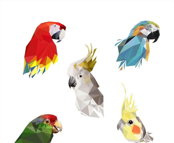手绘鹦鹉鸟类拼图矢量图下载图片