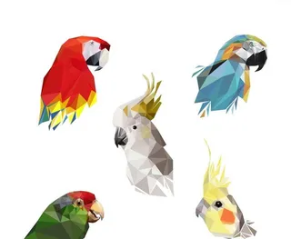 手绘鹦鹉鸟类拼图矢量图下载图片