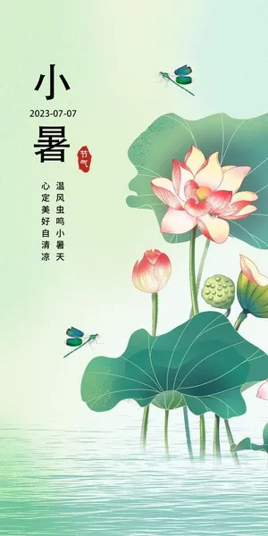 荷花背景海报图片